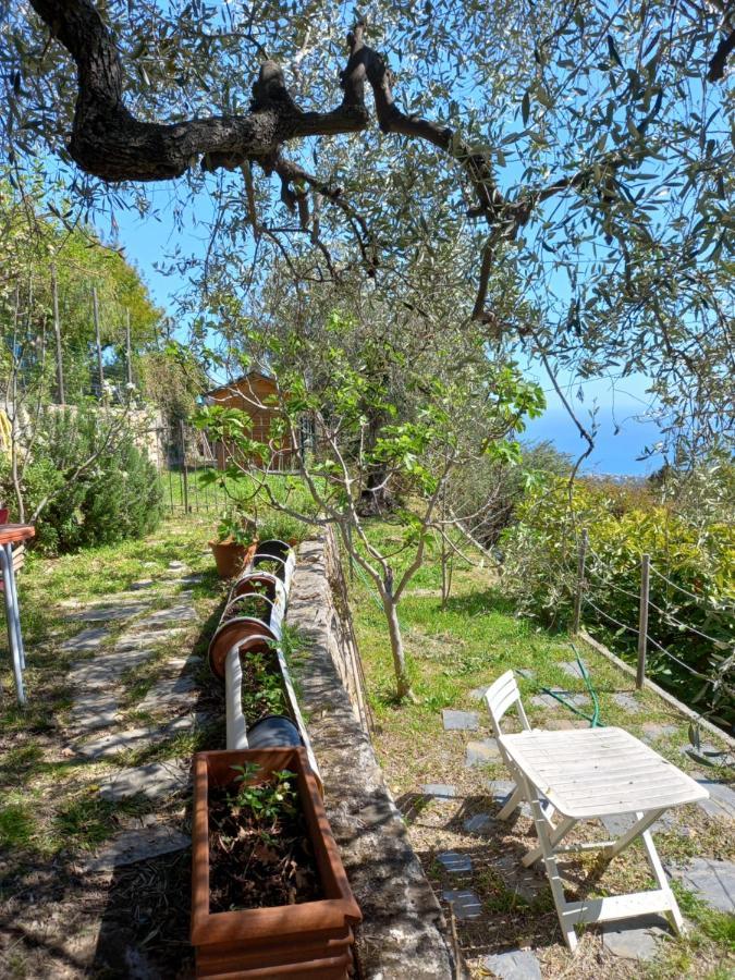 Appartamento La casa di Elda Sanremo Esterno foto